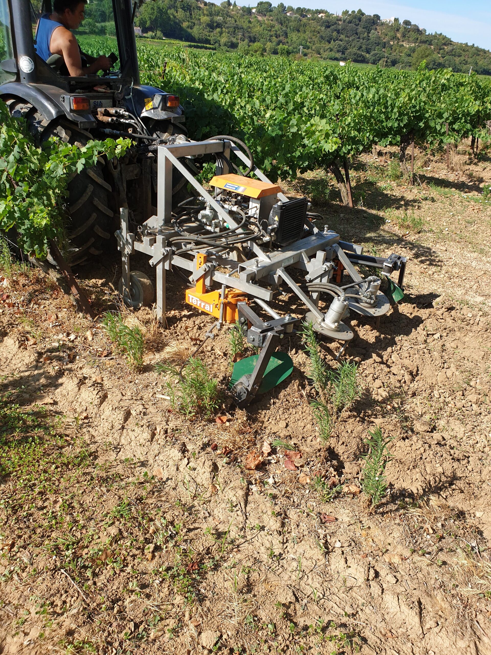 Vineyard Weeder Blades Terral Vineyard Weeder Blades Terral