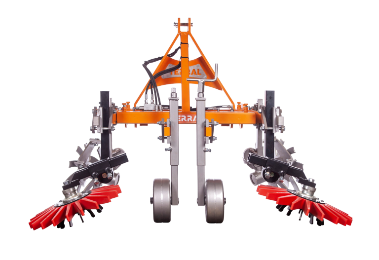 MG 3562 transparent