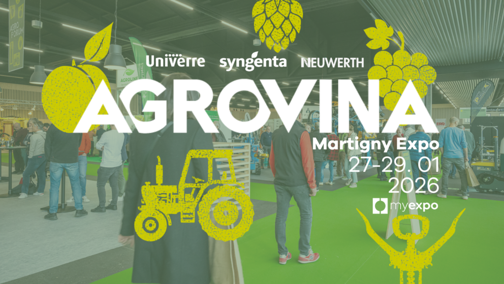 480960135 1075817157918912 989100215234739932 n