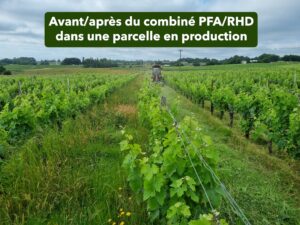 126 - PH07 - PAILLEUSE FAUCHEUSE ANDAINEUR